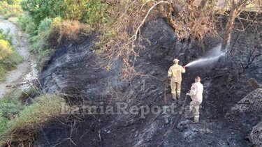 Από πελαργό προκλήθηκε πυρκαγιά κοντά στο Καινούριο