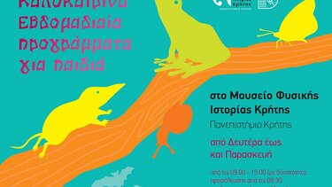 Μουσείο Φυσικής Ιστορίας: «Ξεχωριστοί naturΑrtistes!» - Προσεγγίζοντας την τέχνη της φύσης 