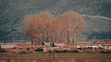 Μινωικός χορός και μουσική: Εκδήλωση στον Άγ. Χαράλαμπο