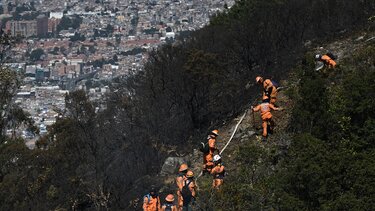 Ιστορικά χαμηλό το ποσοστό αποψίλωσης των δασών της Κολομβίας για το 2023