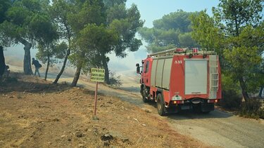 Ηράκλειο: Τι σημαίνει η παράταση της αντιπυρικής περιόδου ως τις 15 Νοεμβρίου