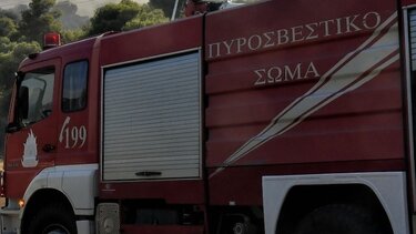 Ολονύχτια μάχη με τις φλόγες στο όρος Πάικο - Πιθανόν από κεραυνό