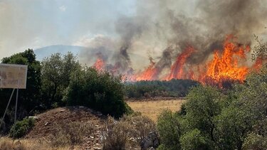 Πολύ υψηλός κίνδυνος πυρκαγιάς σήμερα στην Π.Ε Χανίων