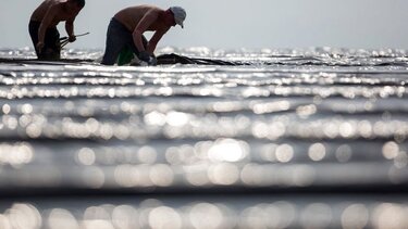 "Καμπανάκι" για τους εργάτες γης - Τι λέει ο Αγροτικός Σύλλογος Ιεράπετρας