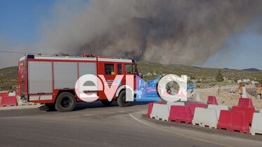 Φωτιά στην Εύβοια: Στη μάχη με τις φλόγες συνδράμουν και ρουμάνοι πυροσβέστες