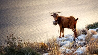 Ένα... διαφορετικό quiz για την Κρήτη