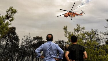 Φωτιά στην Αττική: Πού θα φιλοξενηθούν τα πυρόπληκτα ζώα