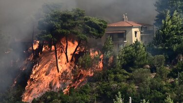 Φωτιά στο Βαρνάβα: Φλόγες 25 μέτρων και άνεμοι 8 μποφόρ - Mεγάλη κινητοποίηση για τον απεγκλωβισμό κατοίκων