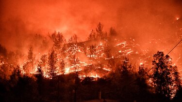 Φωτιά στην Κορινθία: Μαρτυρία για τους δύο νεκρούς - «Κάηκαν ενώ προσπαθούσαν να βοηθήσουν»