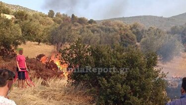 Νέα πυρκαγιά στη Λοκρίδα – Μεγάλη κινητοποίηση από γη και αέρα