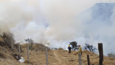 Καίγεται η Κολομβία: Πάνω από 90.000 στρέμματα στάχτη