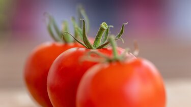  Eurostat: Πόσα τρόφιμα πετάμε – 132 κιλά ανά κάτοικο στην ΕΕ το 2022