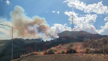 Φωτιά στο Ξυλόκαστρο: Σχεδόν 50.000 στρέμματα δάσους έχουν γίνει στάχτη