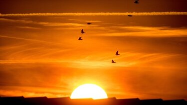 Σε "συναγερμό" χώρες της Ευρώπης λόγω της ζέστης    