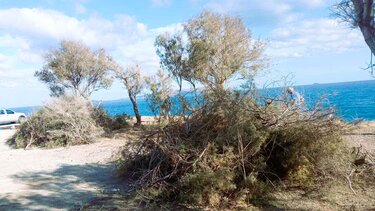 Συνεχίζονται οι δράσεις εξωραϊσμού κοινόχρηστων χώρων στον Δ.Χερσονήσου