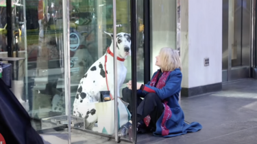 «The Friend»: Μία ταινία για τη φιλία, την απώλεια και την αγάπη για τα ζώα με την Ναόμι Γουότς