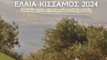 Έλαια-Κίσσαμος 2024