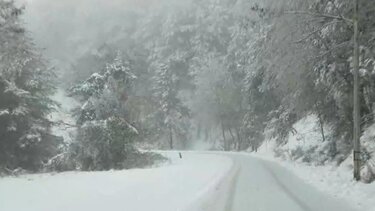 Φλώρινα, Χιόνια