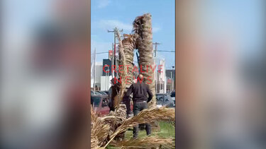 Φοίνικας, πτώση, Ηράκλειο