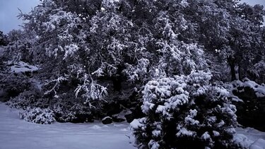 Ανώγεια, χιόνια