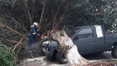 Αυτοκίνητο, Δέντρο