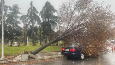 κακοκαιρία bora