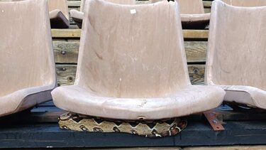 Βόας, Φιλοπάππου