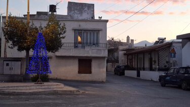 Χριστουγεννιάτικο δέντρο 