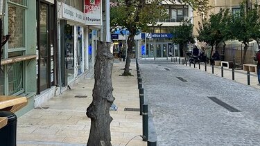 Δέντρο, Πλατεία Δασκαλογιάννη, Ηράκλειο