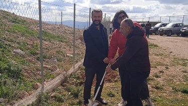 Γέργερη, Δενδροφύτευση