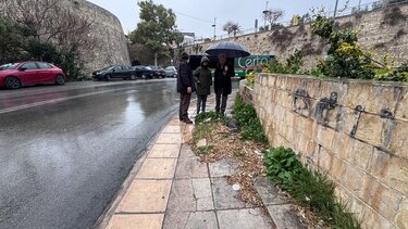 Πεζή διαδρομή, Αλέξης Καλοκαιρινός