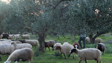 Όψεις του Ηρακλείου στον τηλεοπτικό "αέρα" του ΣΚΑΙ