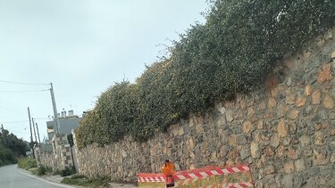 Σκαλάνι, Δρόμος, Κατασκευή