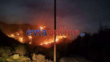 Εύβοια φωτιά