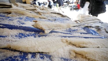 Μπακαλιάρος, αγορά