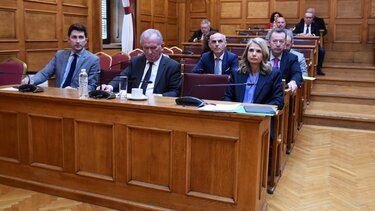 προανακριτική, Τριαντόπουλος