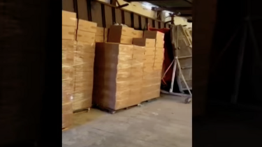 εγκληματική οργάνωση