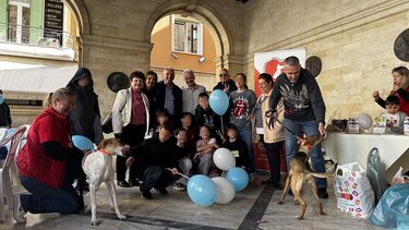 Λότζια, Αδέσποτα