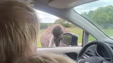 Μπόρις Τζόνσον