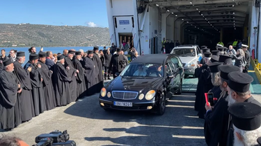 Δαμασκηνός, Υποδοχή