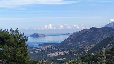 Δάσος Κατσικαντάρας