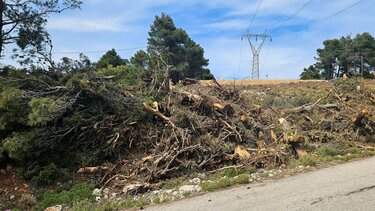 οικοπεδα καθαρισμοι