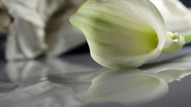 Πένθος στο ΕΛΜΕΠΑ για τον θάνατο της Μαρίας...