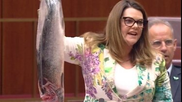 Σολωμός Αυστραλια