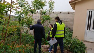 Αυτοψία, Βούτες