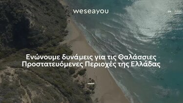 wesea you