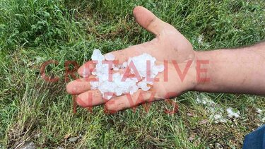 Ζημιές, Χαλάζι, Αμπέλια