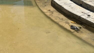 Βούρκος και ψόφια περιστέρια στα συντριβάνια του Ηρακλείου - Δείτε φωτογραφίες