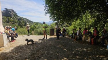 Ορειβατικός Σύλλογος Αγίου Νικολάου 