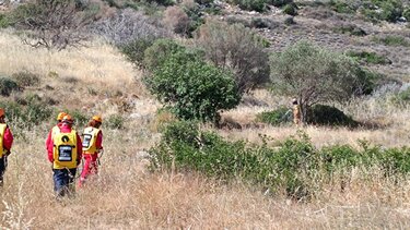 Χερσόνησος άσκηση